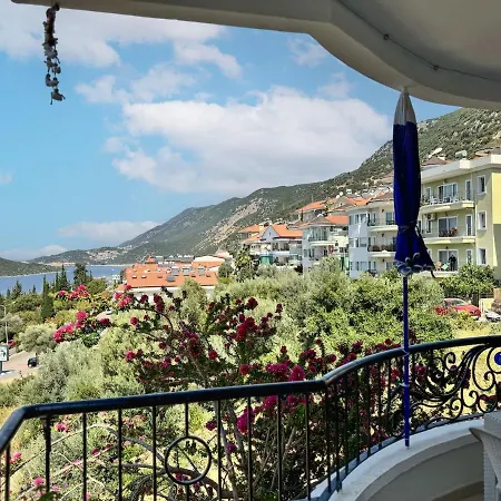 Moonlight Sea View *